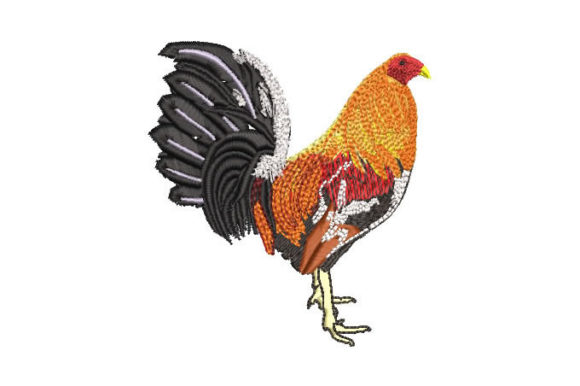 Colorful Rooster: A Designer’s Review for Boutique Sweatshirts