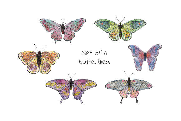 Reviewing the Multicolored Butterflies Set for Real Projects